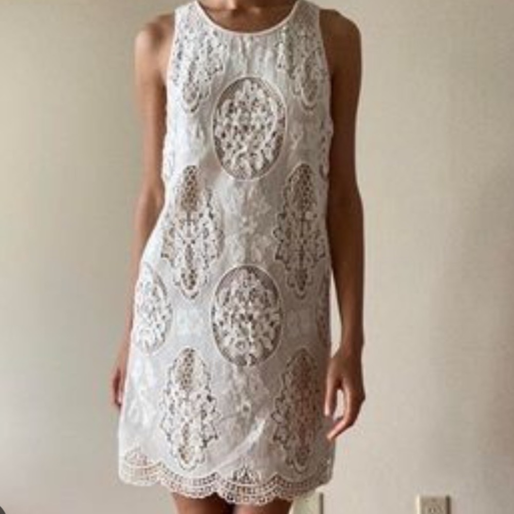 Tart Halter Neck Lace Dress‎
